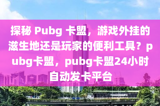 探秘 Pubg 卡盟，游戏外挂的滋生地还是玩家的便利工具？pubg卡盟，pubg卡盟24小时自动发卡平台