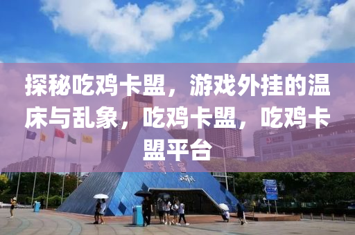 探秘吃鸡卡盟，游戏外挂的温床与乱象，吃鸡卡盟，吃鸡卡盟平台