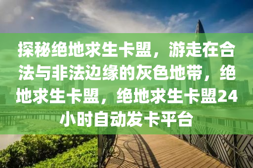 探秘绝地求生卡盟，游走在合法与非法边缘的灰色地带，绝地求生卡盟，绝地求生卡盟24小时自动发卡平台