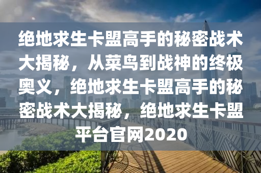 绝地求生卡盟高手的秘密战术大揭秘，从菜鸟到战神的终极奥义，绝地求生卡盟高手的秘密战术大揭秘，绝地求生卡盟平台官网2020