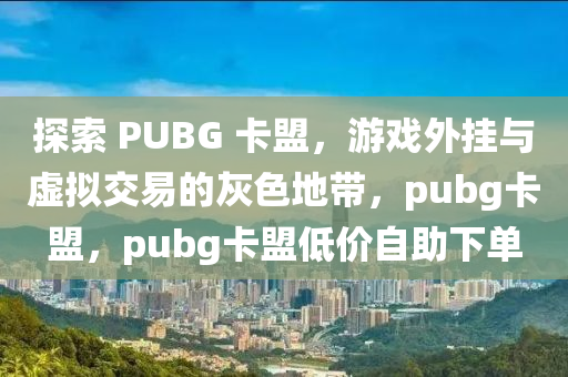 探索 PUBG 卡盟，游戏外挂与虚拟交易的灰色地带，pubg卡盟，pubg卡盟低价自助下单