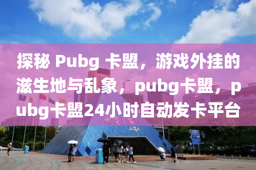 探秘 Pubg 卡盟，游戏外挂的滋生地与乱象，pubg卡盟，pubg卡盟24小时自动发卡平台