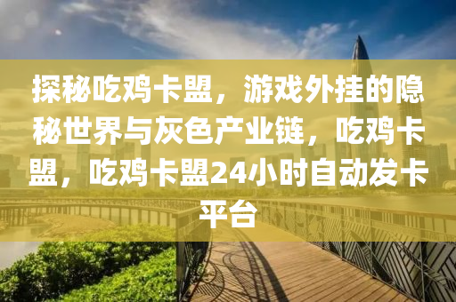 探秘吃鸡卡盟，游戏外挂的隐秘世界与灰色产业链，吃鸡卡盟，吃鸡卡盟24小时自动发卡平台