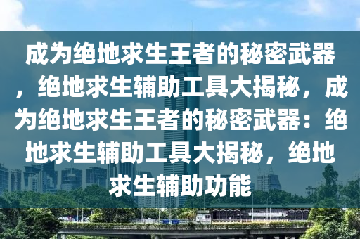 成为绝地求生王者的秘密武器，绝地求生辅助工具大揭秘，成为绝地求生王者的秘密武器：绝地求生辅助工具大揭秘，绝地求生辅助功能
