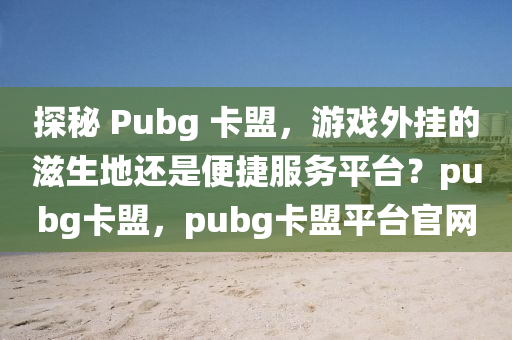 探秘 Pubg 卡盟，游戏外挂的滋生地还是便捷服务平台？pubg卡盟，pubg卡盟平台官网
