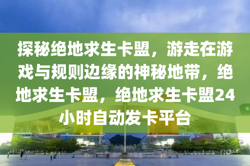 探秘绝地求生卡盟，游走在游戏与规则边缘的神秘地带，绝地求生卡盟，绝地求生卡盟24小时自动发卡平台