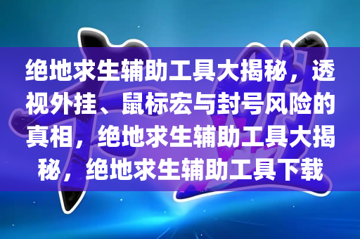 绝地求生辅助工具大揭秘，透视外挂、鼠标宏与封号风险的真相，绝地求生辅助工具大揭秘，绝地求生辅助工具下载