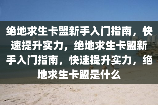 绝地求生卡盟新手入门指南，快速提升实力，绝地求生卡盟新手入门指南，快速提升实力，绝地求生卡盟是什么