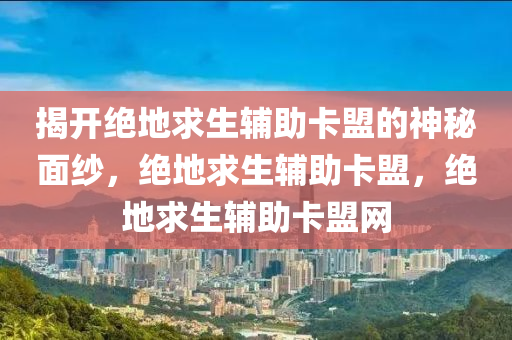 揭开绝地求生辅助卡盟的神秘面纱，绝地求生辅助卡盟，绝地求生辅助卡盟网